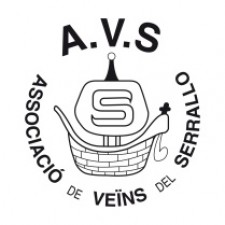 Logo AVS.jpg